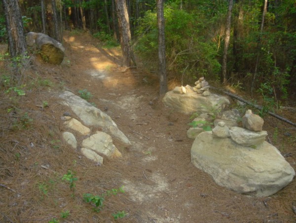 rocks