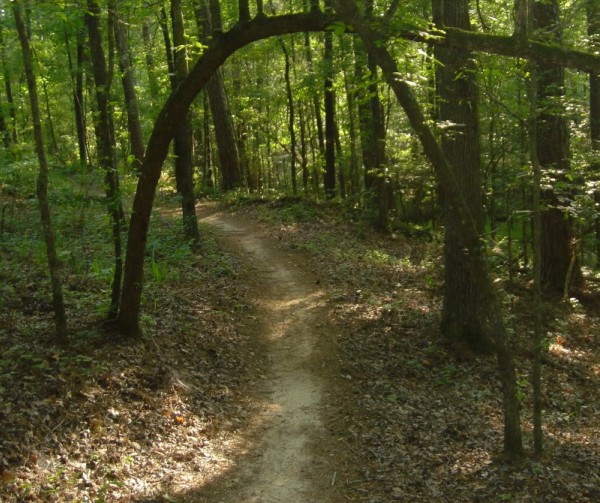 trail